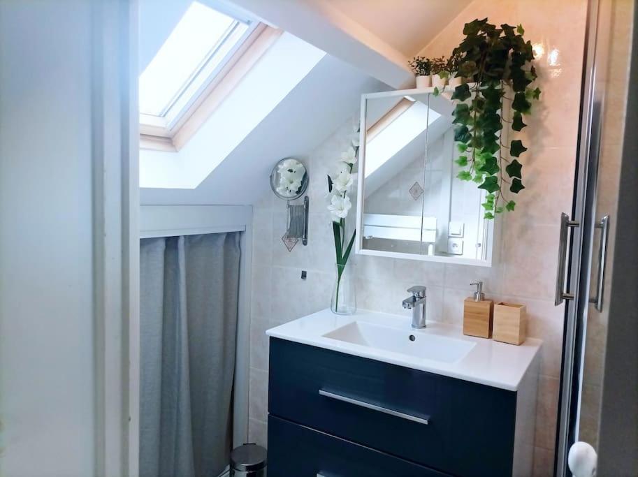 Le Duplex Decontracte Apartment Fleury-les-Aubrais Luaran gambar