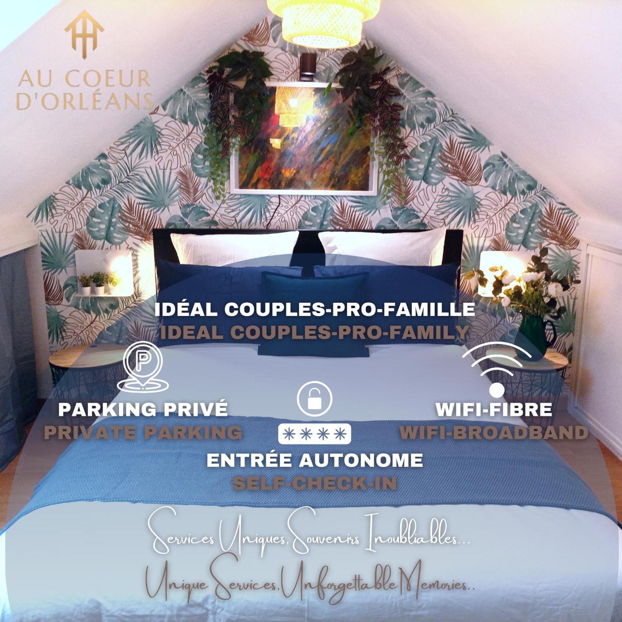Le Duplex Decontracte Apartment Fleury-les-Aubrais Luaran gambar