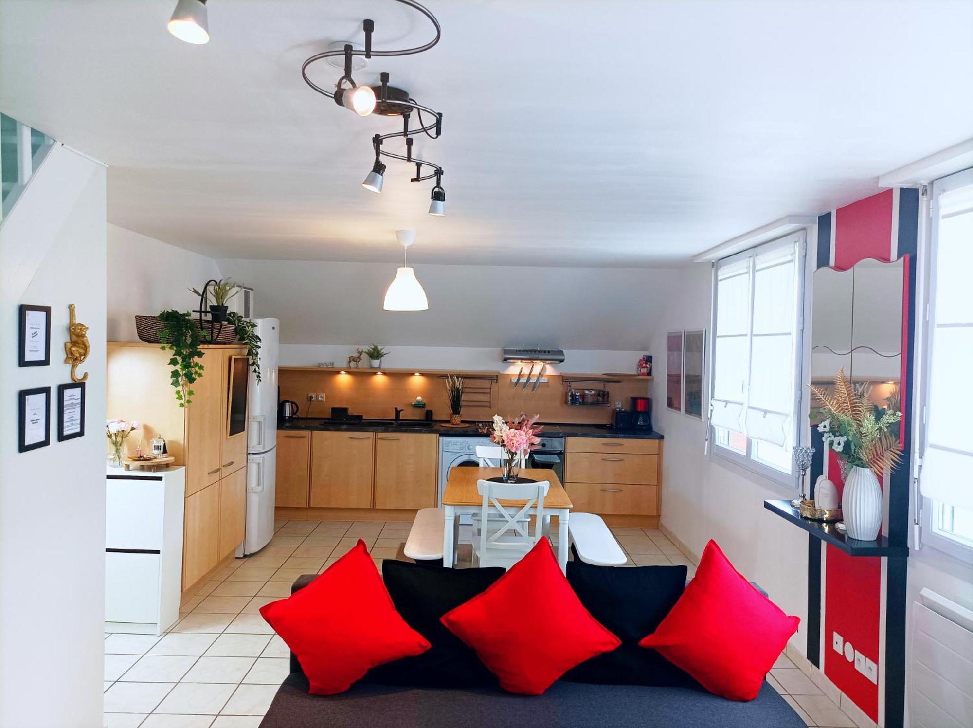 Le Duplex Decontracte Apartment Fleury-les-Aubrais Luaran gambar